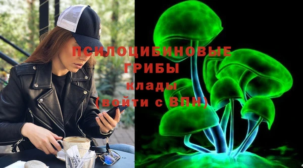 spice Няндома